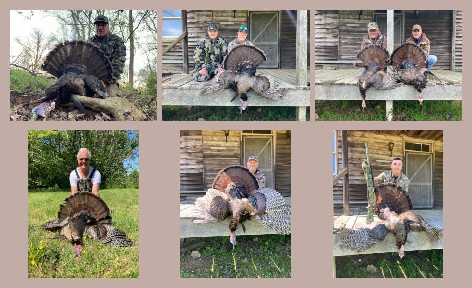 Turkey Hunts at Sailor's Creek Outfitters
