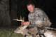 deer2042web_small.jpg